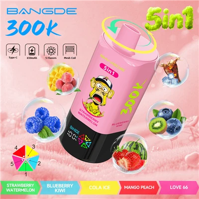 BANG DE 300K-5in1 Puffs Vape